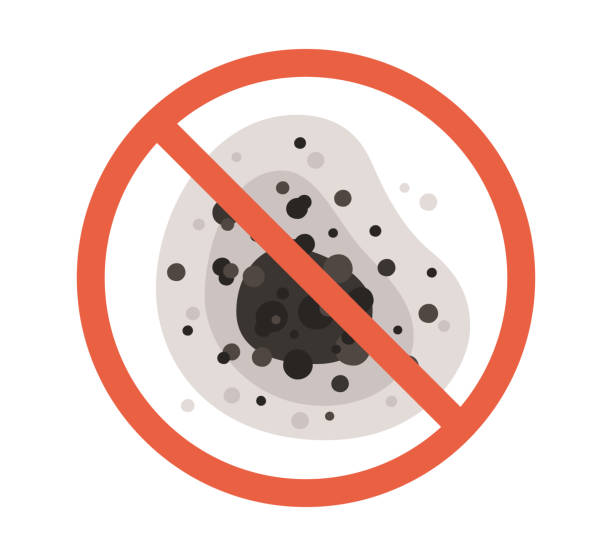 Best Environmental Consulting for Mold Prevention  in Coker, AL