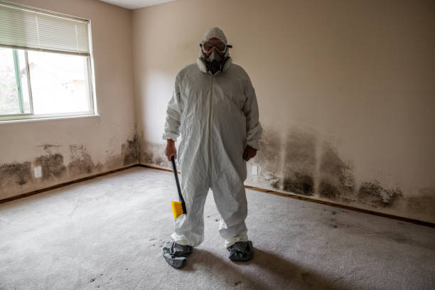 Best Mold Remediation for Healthcare Facilities  in Coker, AL